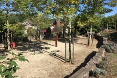 Freiwilligentag1